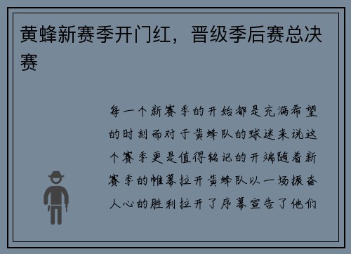 黄蜂新赛季开门红，晋级季后赛总决赛