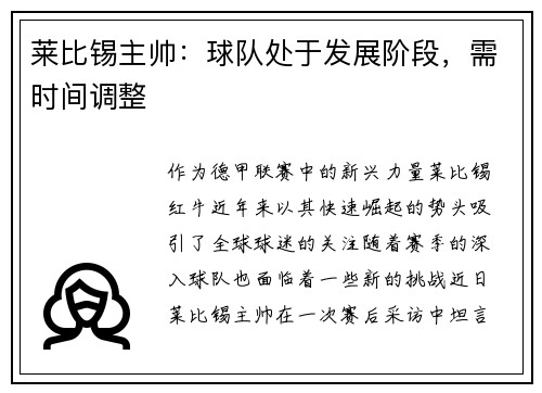 莱比锡主帅：球队处于发展阶段，需时间调整